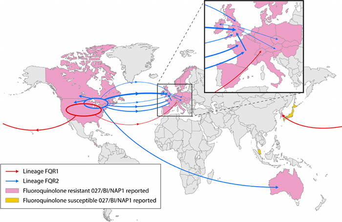 fig. 1 transcontinental dissemination of epidemic RT027  